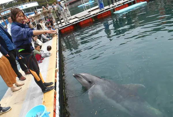 下田海中水族館の写真・動画_image_130413