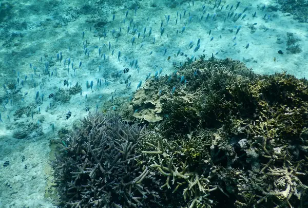 シギラビーチの写真・動画_image_202201