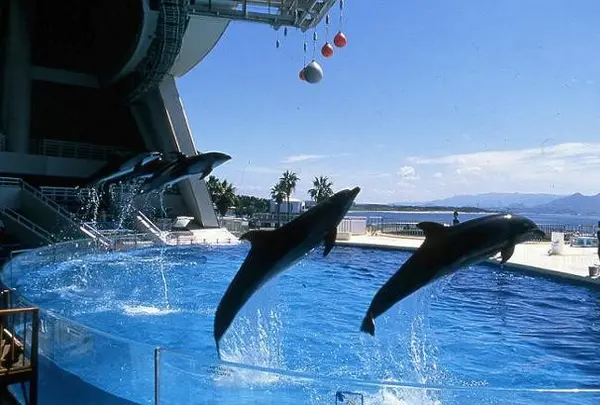 マリンワールド海の中道