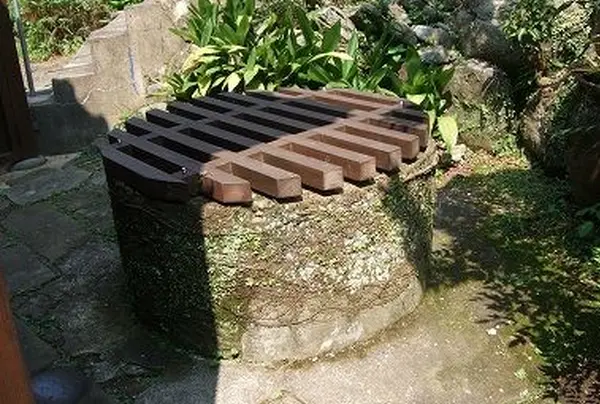 裏庭に井戸発見