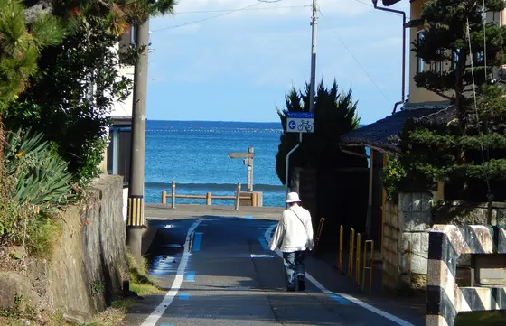 海岸線に向かう道