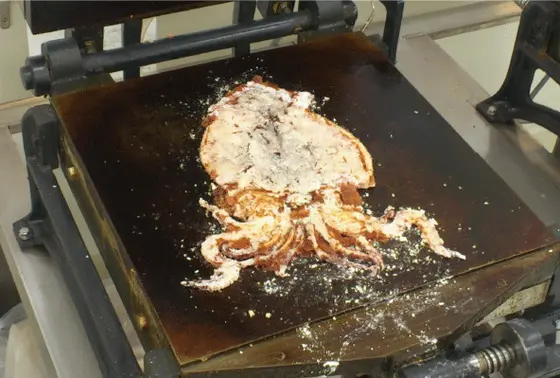 出来立てイカの姿焼き