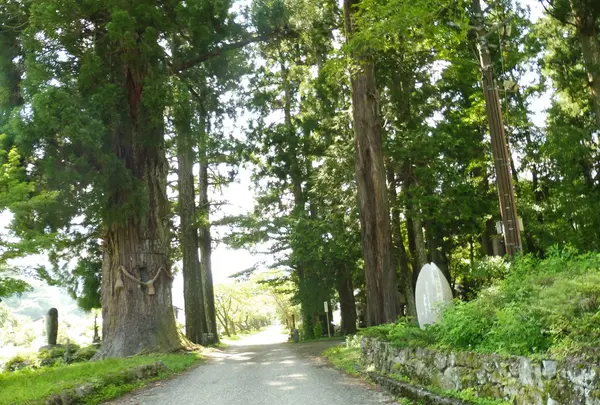 明建神社の写真・動画_image_86278
