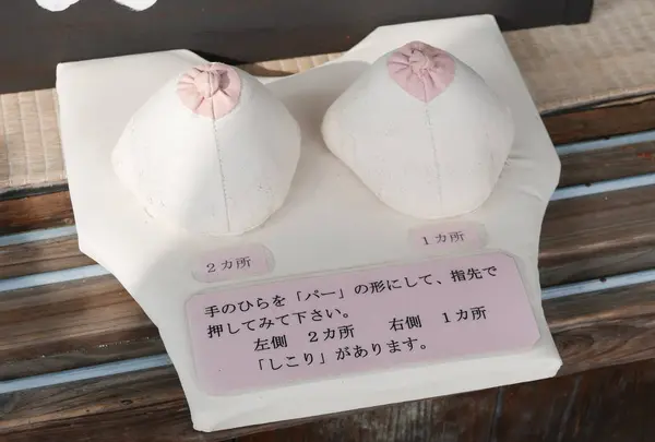 吉祥寺の写真・動画_image_248104