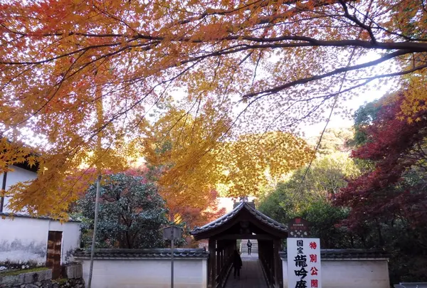 龍吟庵の写真・動画_image_169445