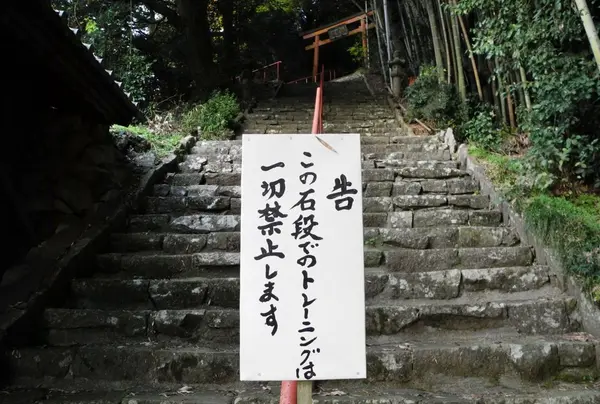 誰のせいでしょうか？