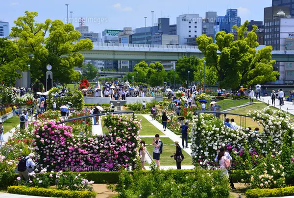 中之島公園