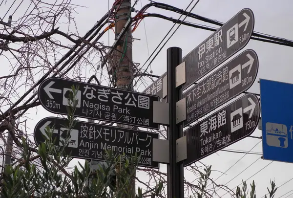 川沿いの散歩道の写真・動画_image_17639
