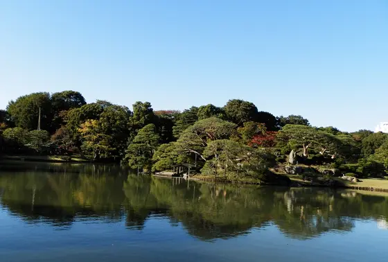 妹山(いものやま)・背山(せのやま)