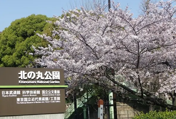 北の丸公園
