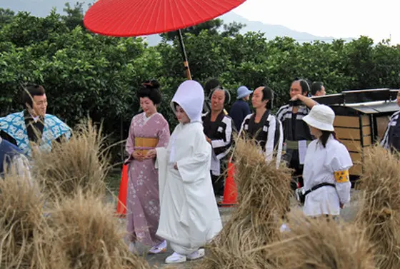 青洲まつり