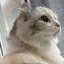 すも