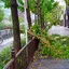 クワワイカ