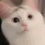 kiri_rin