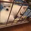 さな
