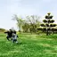 公園ハンター