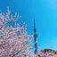 かくん