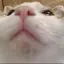 ナキムシロボボーイ