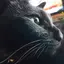 黒猫ママ