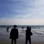 りんたいらん