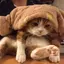 ゆっと