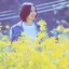 manaka_wd1983
