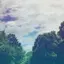 葛葉