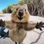 ワイスピ