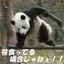 ゆーすけ