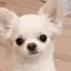 ma....mi