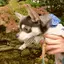 ちゃこ丸さんぽ
