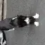 にゃんころたろう
