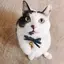 ななーる