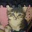 ヒロニャン