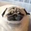 すー