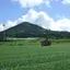 NPO法人頴娃おこそ会