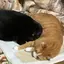 コウヘイ