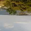 ゆゆゆ