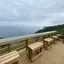 低頻度旅行