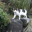 糸で凌ぐ歌
