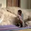ふさふさ