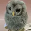 くまやんパン