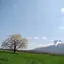 tachibana ryuuta