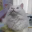 なおりん