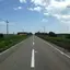borsche