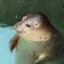 un