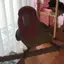 みのり