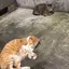 近藤 恵子