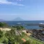 こゆ