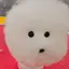 るる